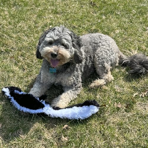 Skinneeez Skunk Dog Toy