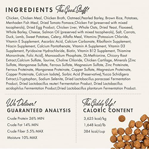 Fromm Large Breed Puppy Gold Premium Dry Dog Food - Dry Puppy Food for Large Breeds - Chicken Recipe - 15 lb