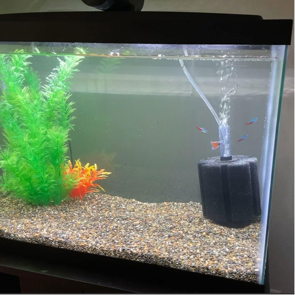 AQUAPAPA Bio Sponge Filter for Betta Fry Aquarium Fish Tank Up to 60 Gal ea. 3-Pack (L)