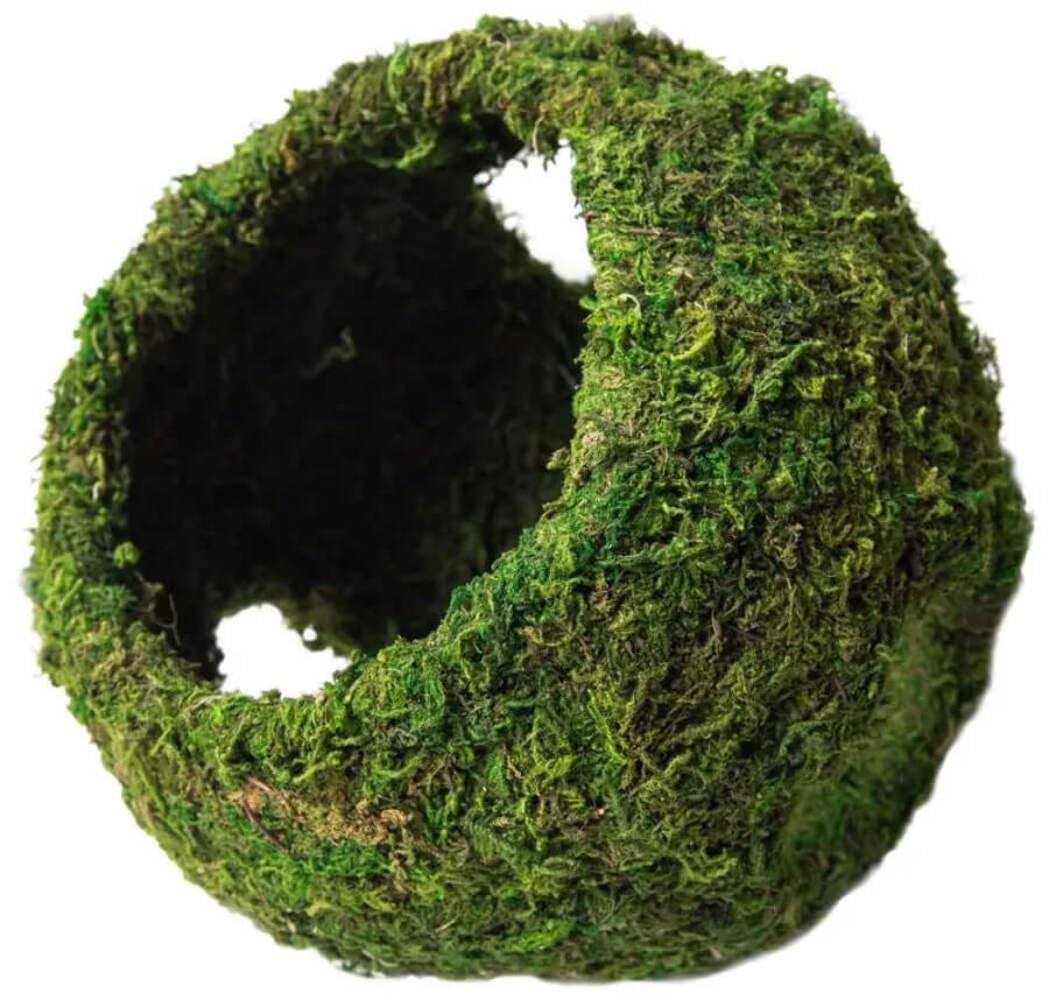 Galapagos 05344 Mossy Cave With Holes For Aquarium, 7.5'', Green (759834053446)