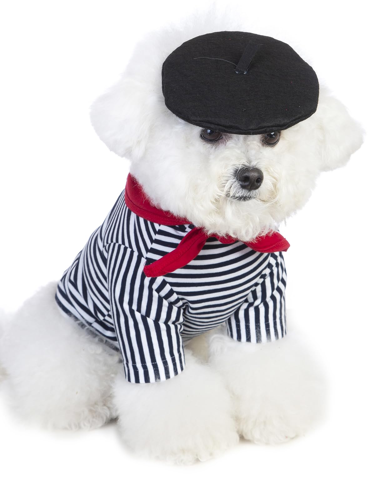 Coomour Artist Dog Costume With Funny Hat Painter Pet Clothes For Small Dog Shirts Puppy Summer T-Shirt (Xl,Black02)