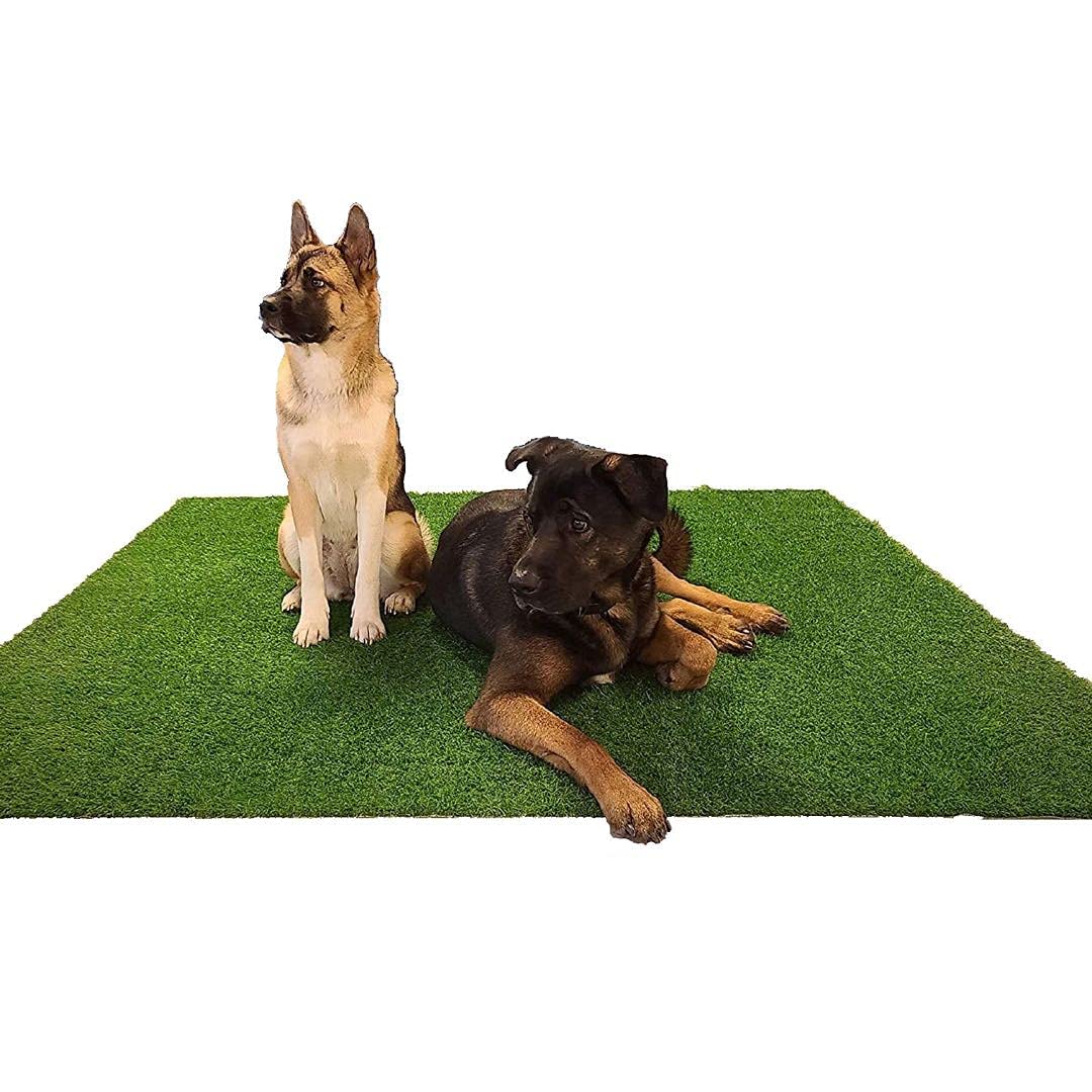 Lomantown Fake Grass For Dogs Artificial Fake Grass Pad Trainer, Tpr Backing 6 X 6 Ft Dog Turf Grass Potty Pad Porch Potty For Dogs (6 X 6 Ft Grass Mat)