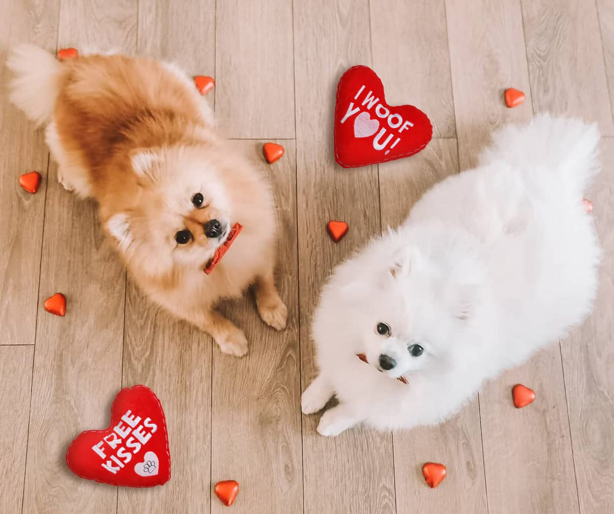 Boombone Valentines Dog Toy, Plush Dog Squeak Toy, Heart Dog Toy For Small Medium Dogs