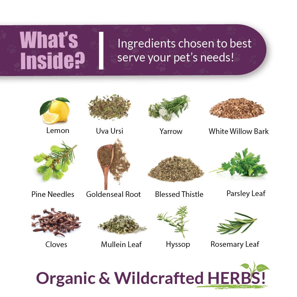 Amber NaturalZ Kidney Rejuvenator Herbal Supplement for Dogs, Cats, Birds, Guinea Pigs, and Rabbits | Pet Herbal Blend for Kidne