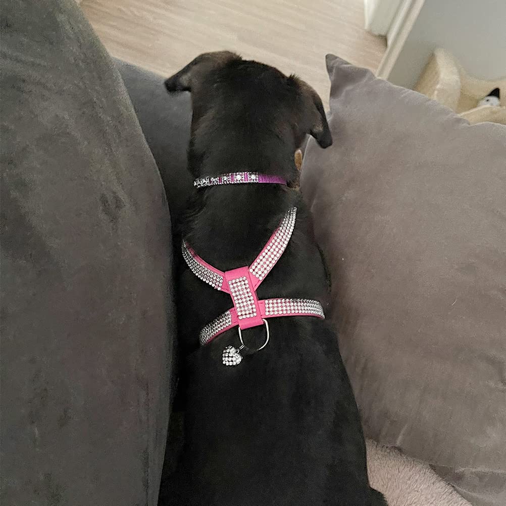 Expawlorer Pet Harness-Rhinestone Bling Small Cat Harness With Heart Pendant, Soft Genuine Leather Padded Dog Harness Small Sized Dog For Puppy Cat, Pink