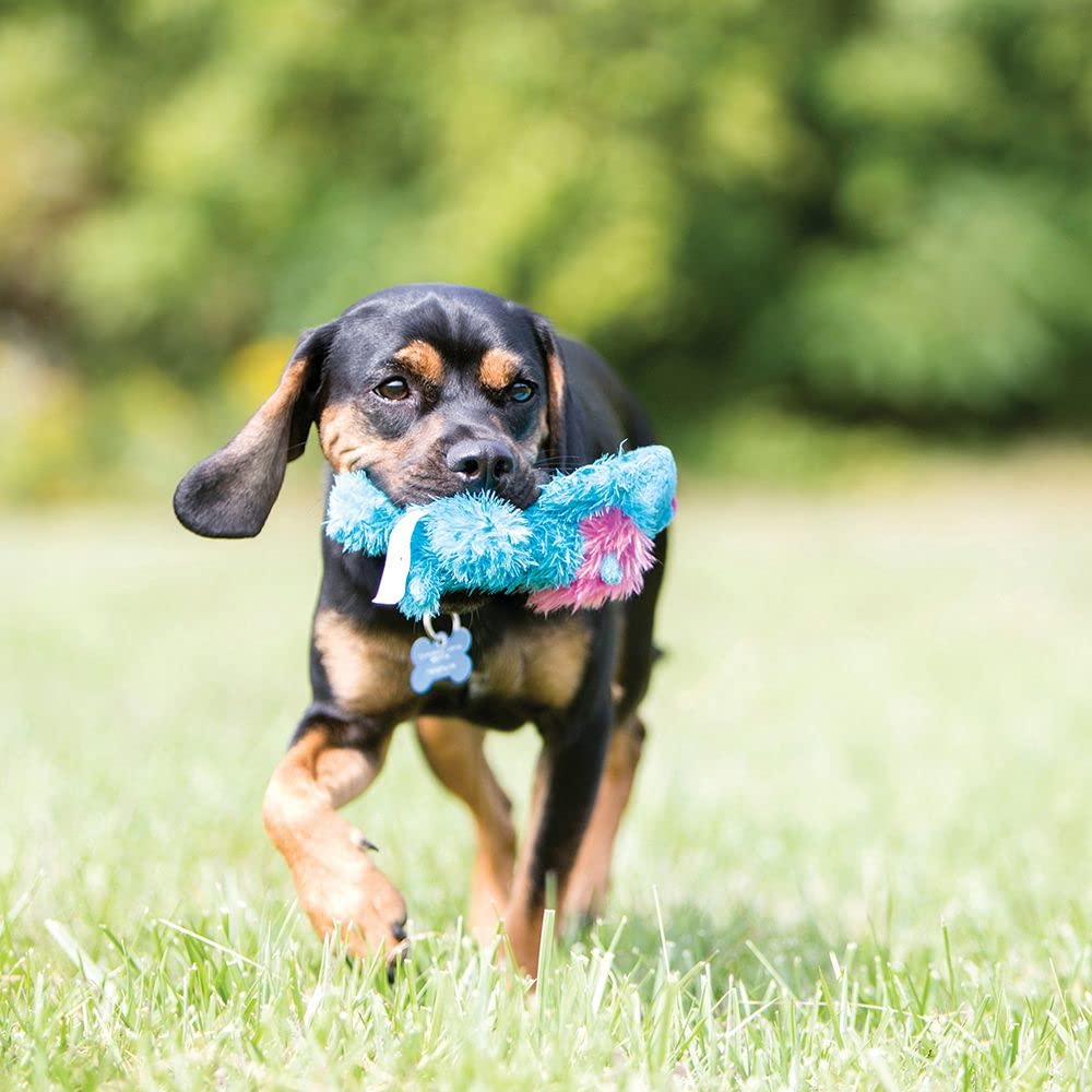Kong Ali Alligator Cozie Dog Toy, Small