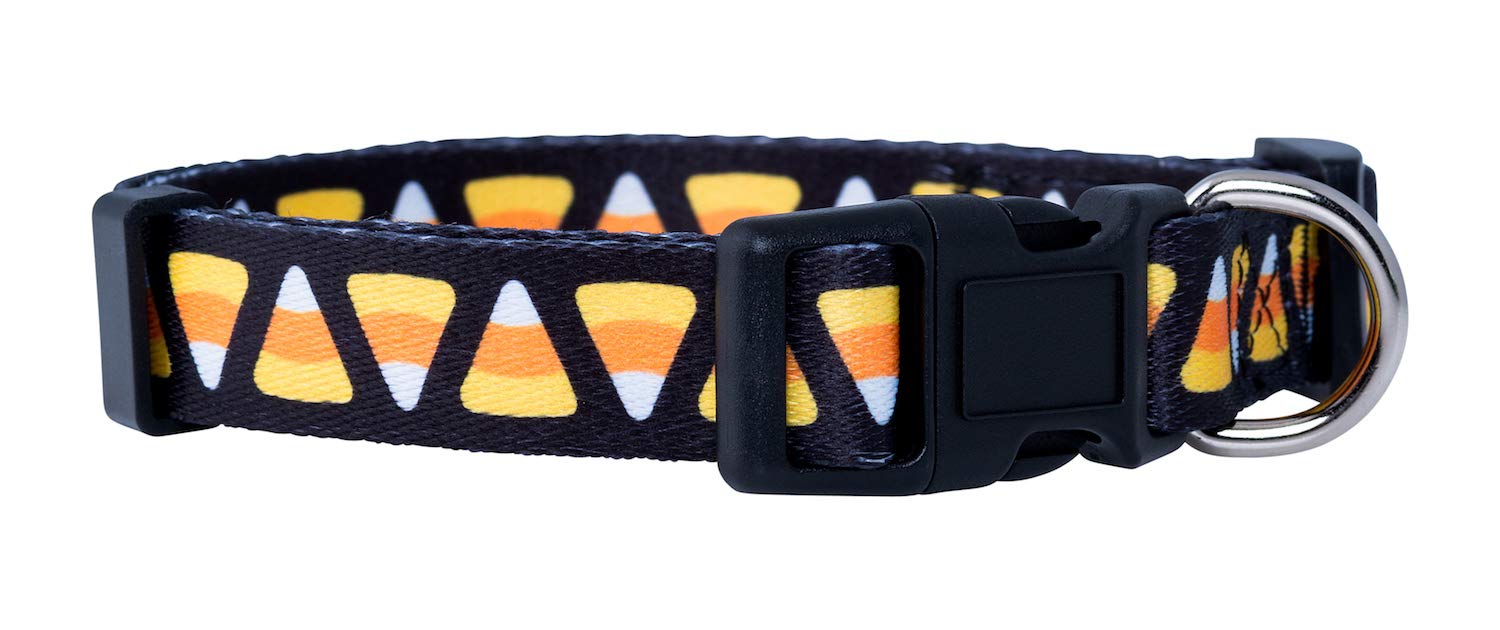 Native Pup Halloween Dog Collar (Small, Candy Corn)