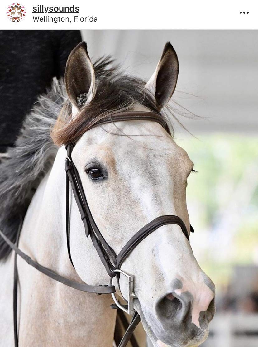 Silly Sounds Horse Earplugs (Black) 4Pk