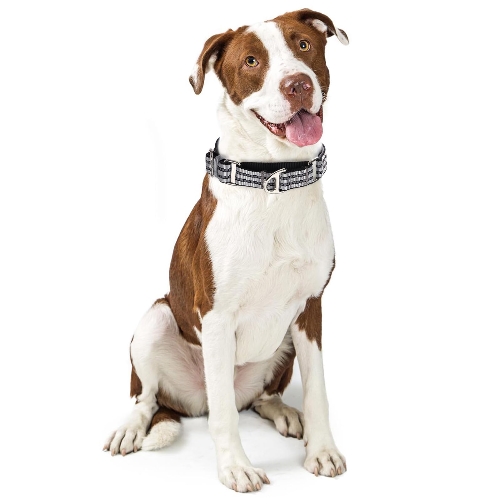 Reflective Martingale Collar For Medium Dogs With No Buckle Adjustable Training, Walking, Hunting No Slip Collars, (Sliver M)