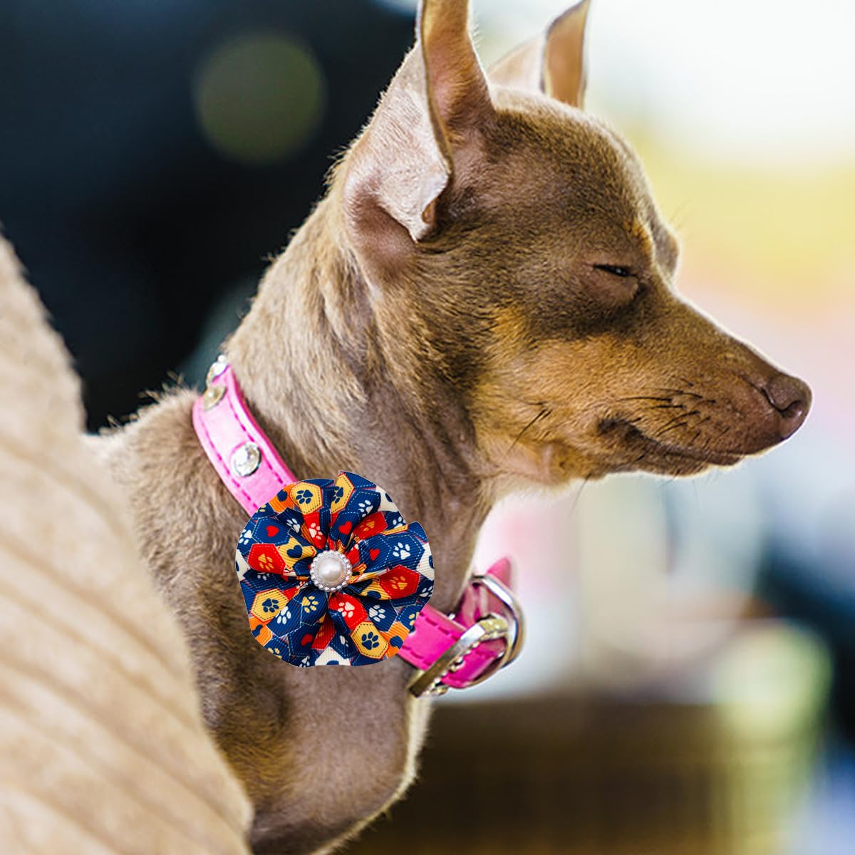 Jpgdn 12Pcs Dog Collar Flowers Bows Attachment Sliders Paw Print For Small Medium Girl Female Cat Puppy Alpaca Rabbit Neck Bows