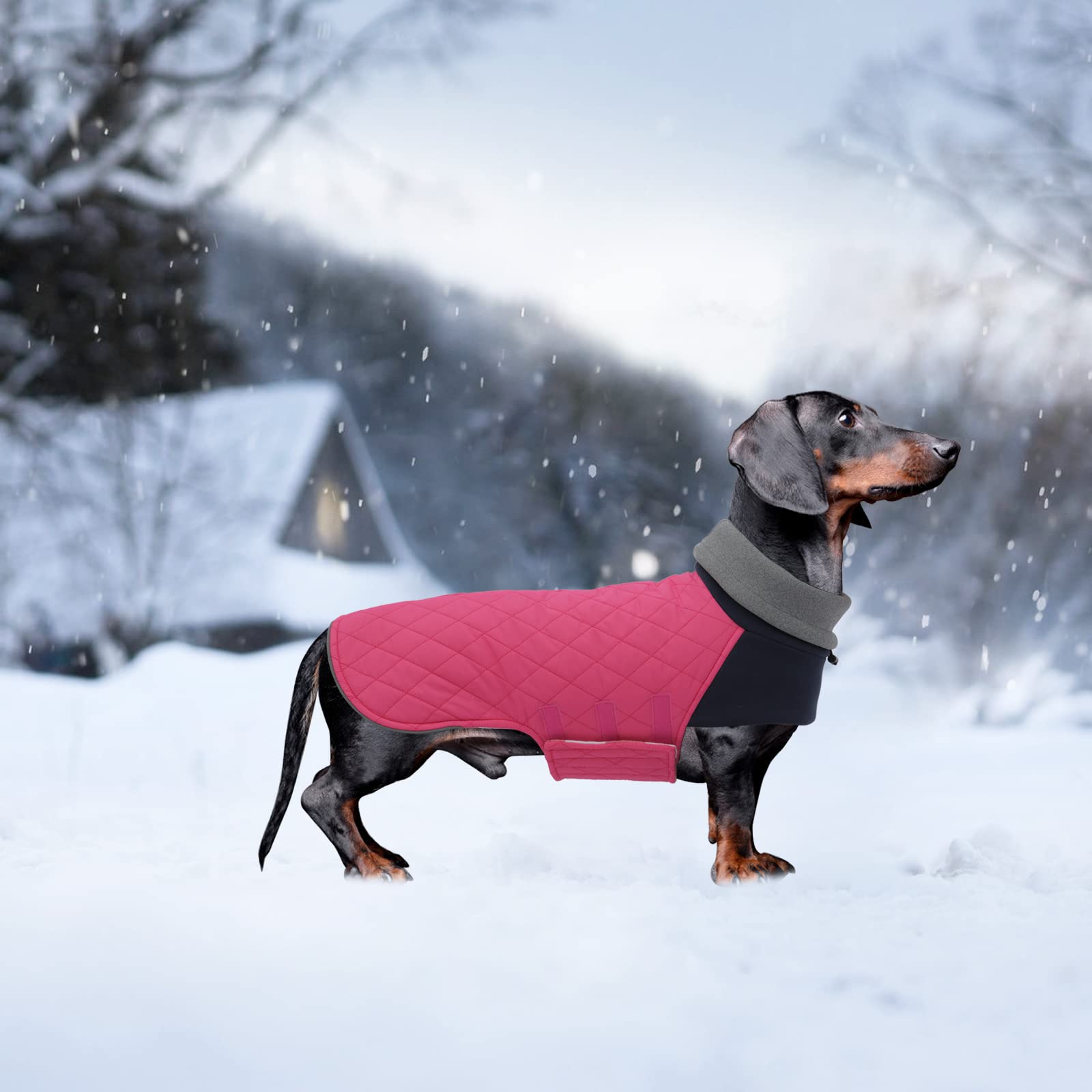 Geyecete Dachshund Coat,Dachshund Winter Coat,Warm Dachshund Coat Waterproof Windproof, High Neckine String Holes Miniature Dachshund Jacket For Small Dog-Pink-M