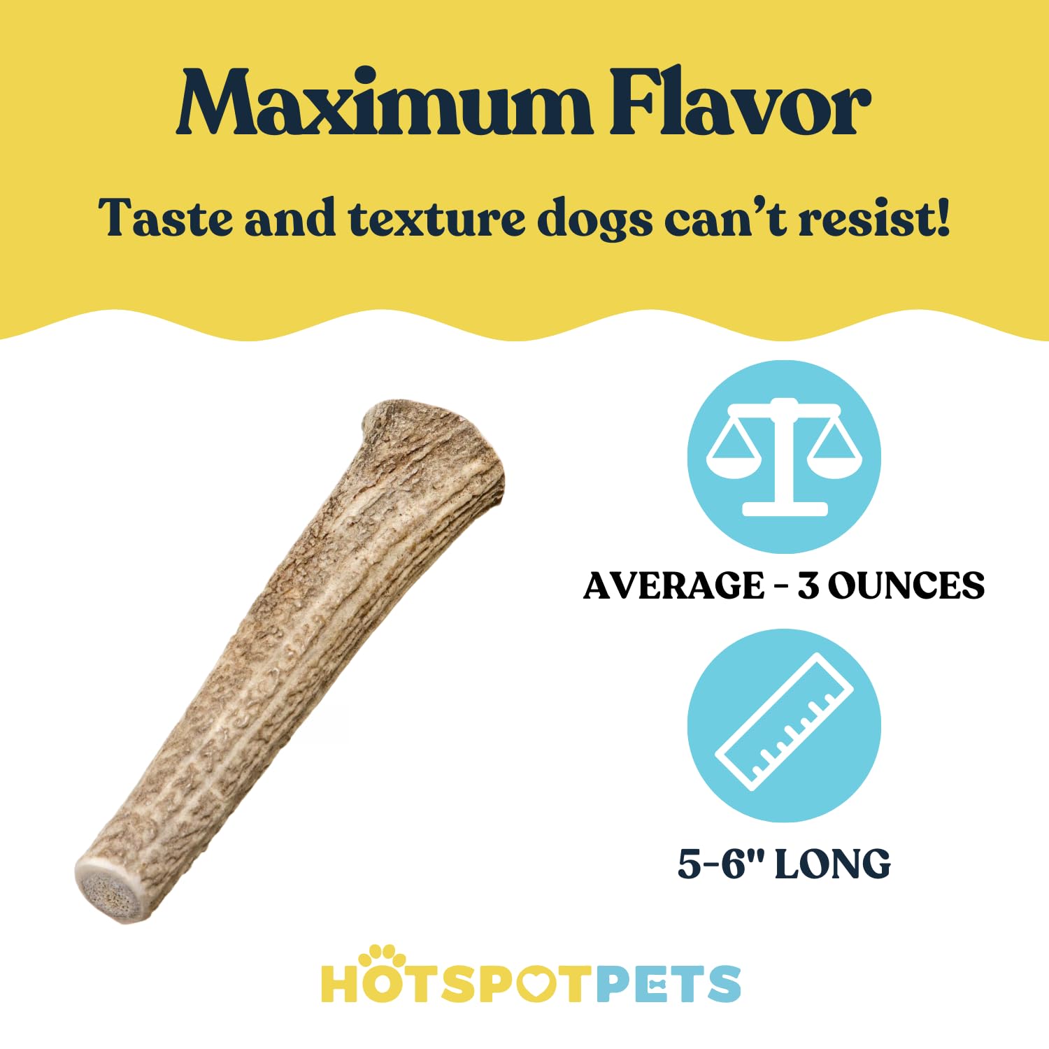 Hotspot Pets Premium Medium Whole Deer Antlers For Dogs - 5+ Inch Sized Antler Dog Chews - Naturally Shed For Small And Medium B