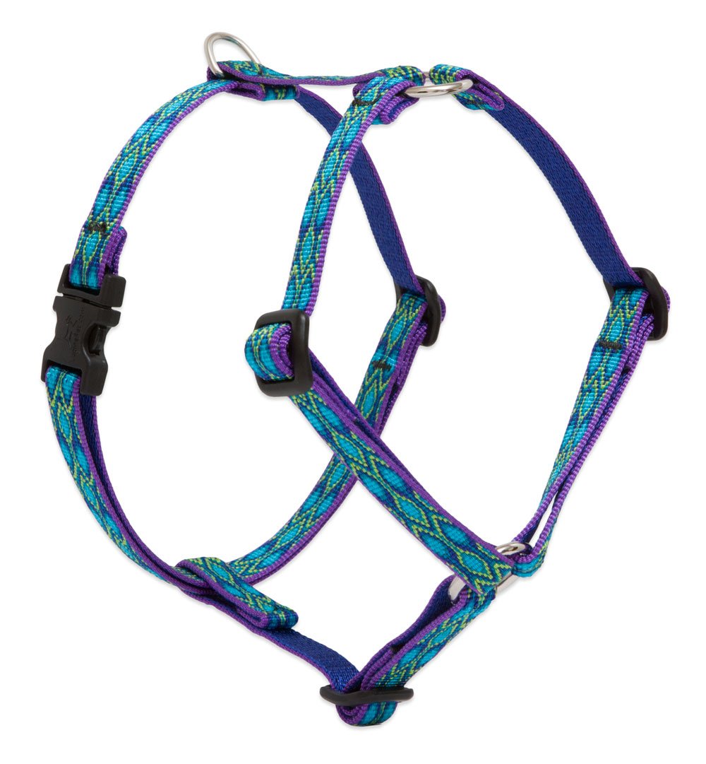 LupinePet Originals 1/2'' Rain Song 9-14'' Adjustable Roman Dog Harness for Extra Small Dogs