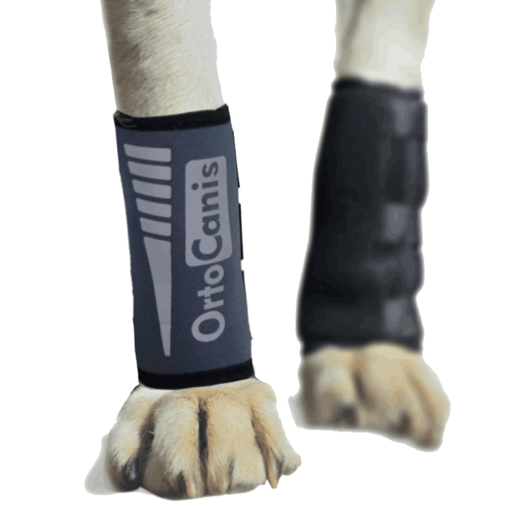 Ortocanis - Carpal Brace for Dogs with Arthrosis, Ligament or Tendon Injuries, or Agility Dogs, Size L