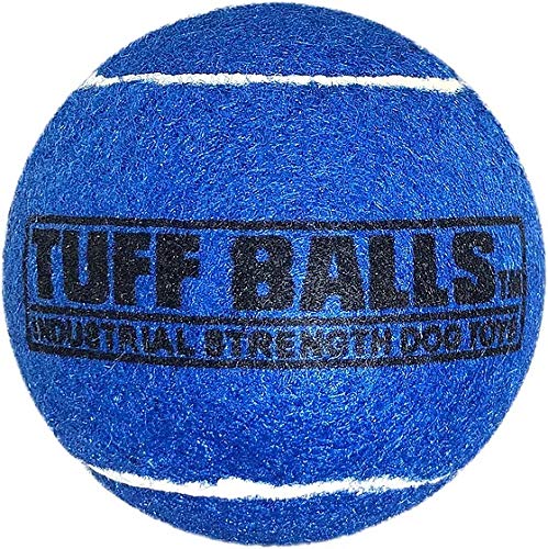 Petsport 2-Pack Tuff Blue Ball