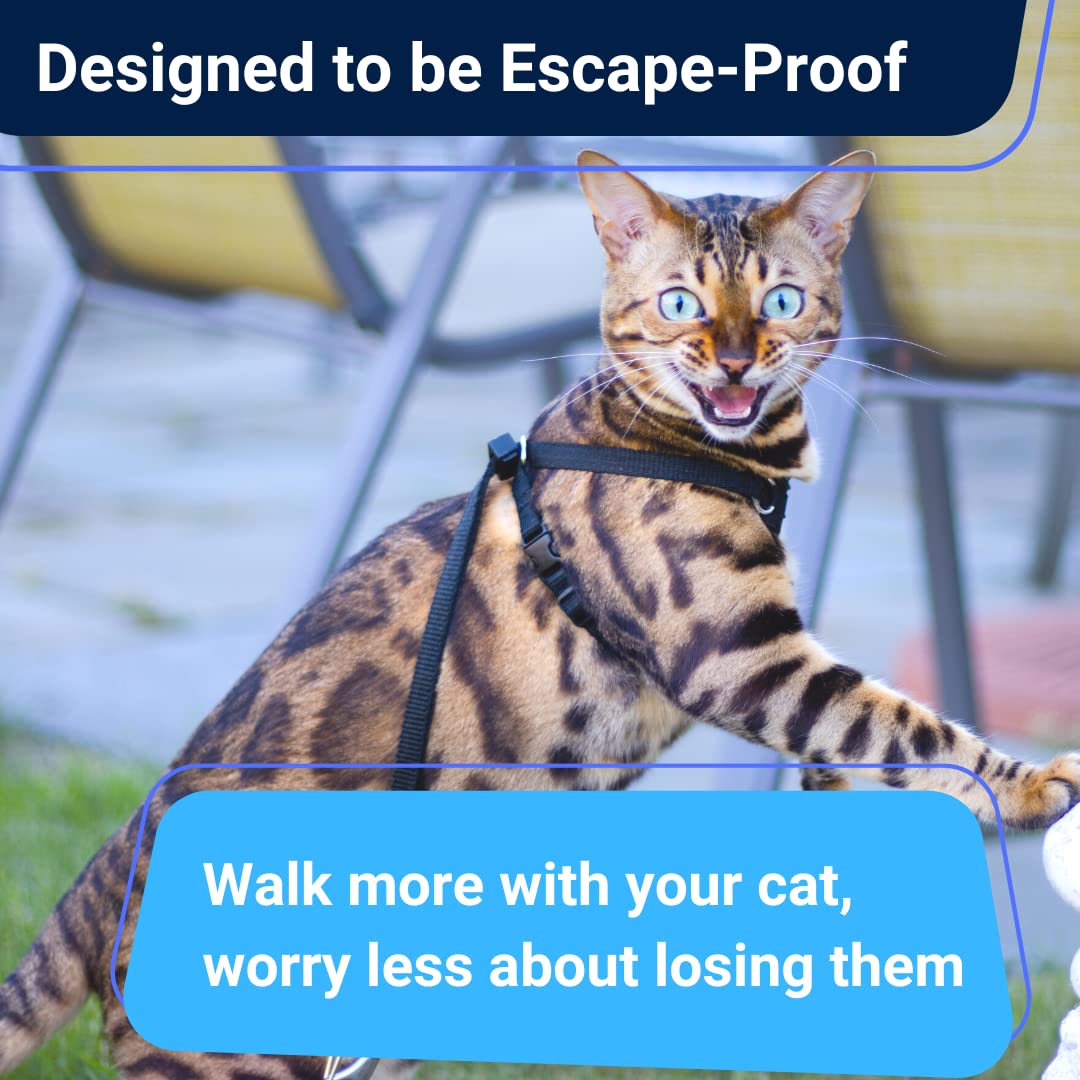 Houdini™ Escape Proof Cat Harness And Leash Set By Outdoorbengal For Walking Cats And Kittens (Soft Mesh, Large Cat)
