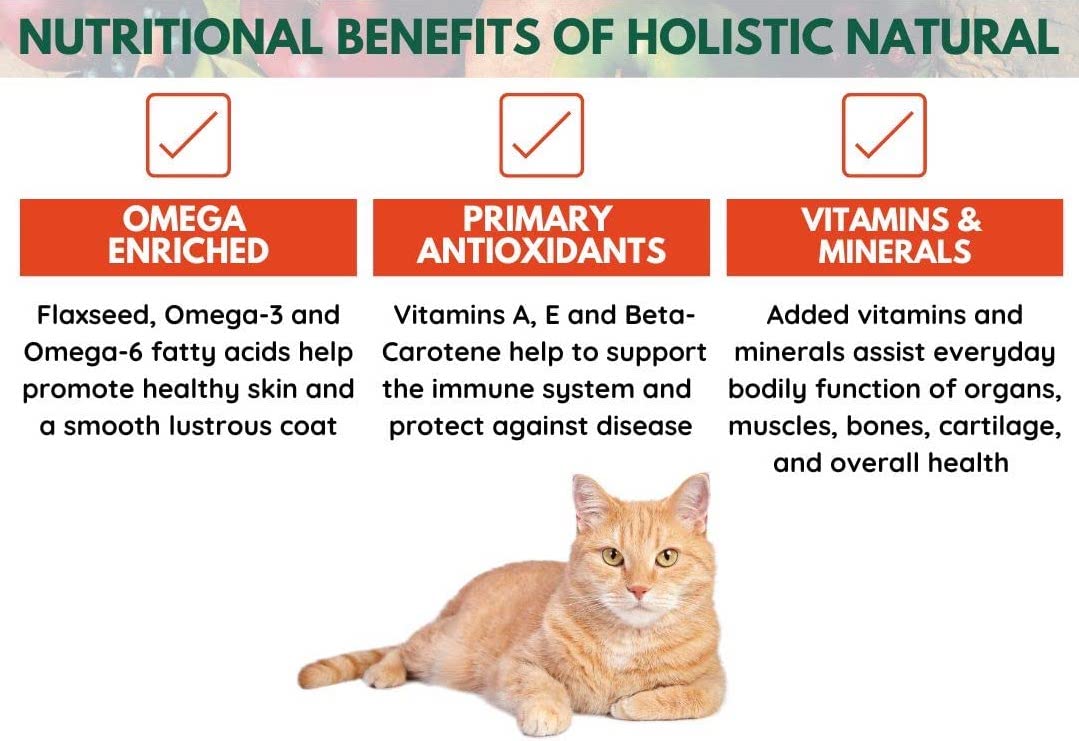 Bench & Field Holistic Natural Premium Adult Dry Cat Food, Chicken Meal and Brown Rice Recipe 3 lb Bag (Pack of 1)