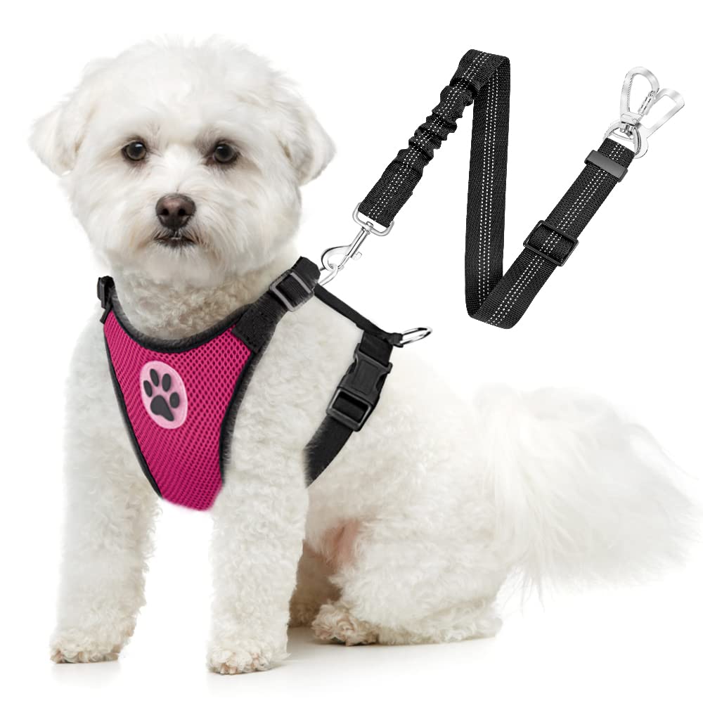 Slowton Dog Car Harness Seatbelt Set, Adjustable Vest Harness Double Breathable Mesh Fabric & Car Seat Belt Vehicle Safety Connector Strap With Elastic Bungee For Small Medium Large Pets(Rose,Xs)