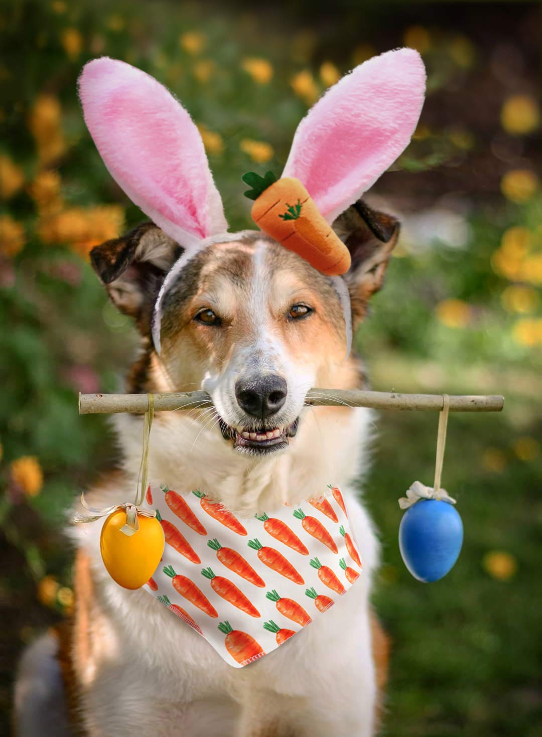 Bunny Ears Headband For Dogs And Easter Dog Bandana