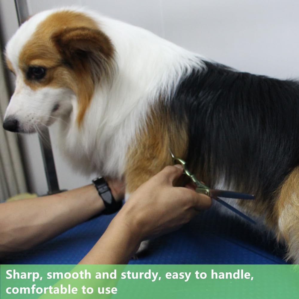 Hashimoto Thinning Shears For Dogs, Dog Thinning Shears For Grooming, 42 Teeth, 6.5 Inch, 30% Thinning Rate, Extremely Light Wei