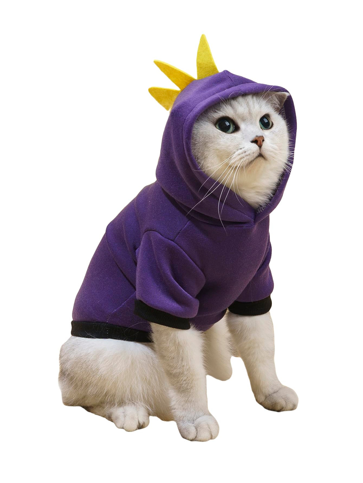 Qwinee Dinosaur Dog Hoodie Dog Warm Jacket Christmas Halloween Dog Costume Dog Clothes For Puppy Kitten Small Medium Dogs Cats Purple L