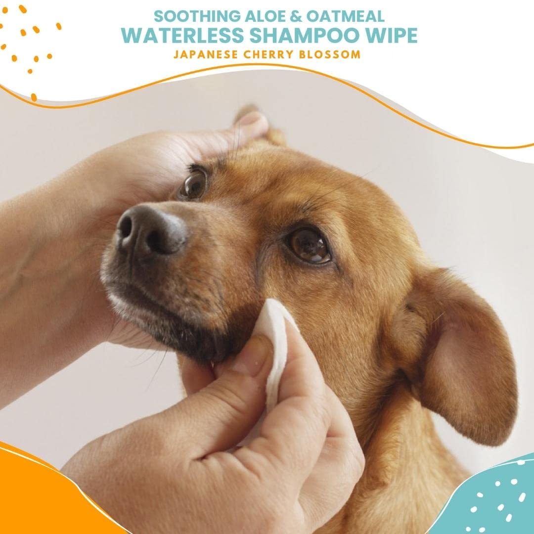Nootie Waterless Grooming Wipes Japanese Cherry Blossom 70 Count