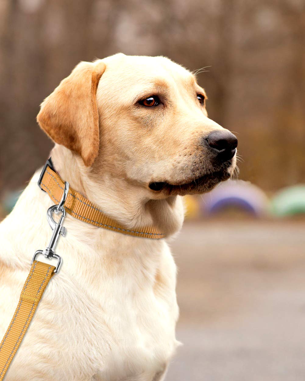 Funtags Reflective Dog Collar, Sturdy Nylon Collars For Large Girl And Boy Dogs, Adjustable Dog Collars For Animals With Quick R