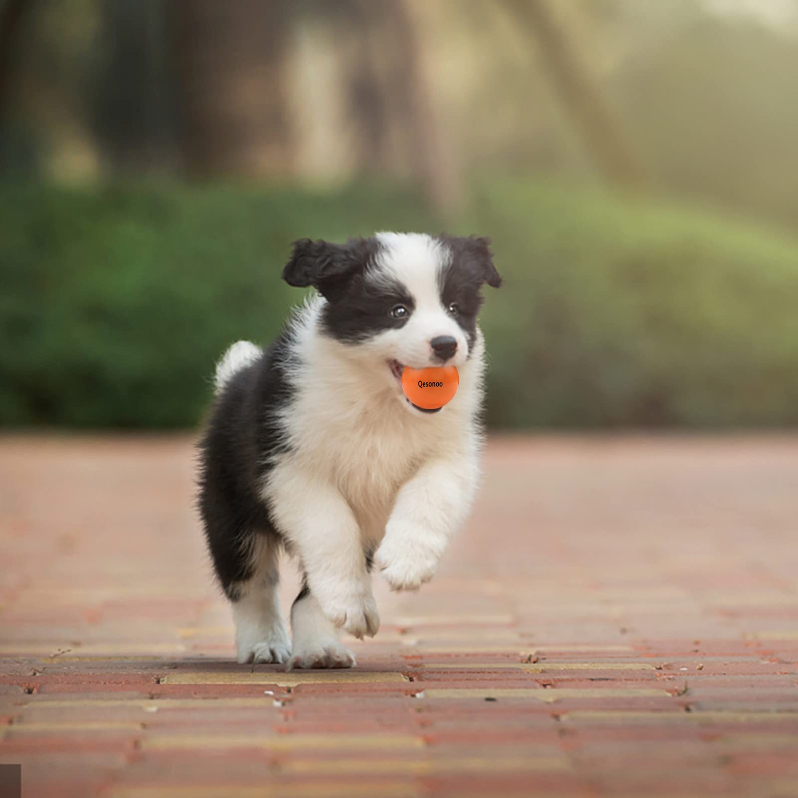 Qesonoo Dog Balls Indestructible,Solid Rubber Bouncy for Dogs Aggressive Chewers Small Breed,Non-Toxic&Floating&High Elasticity,