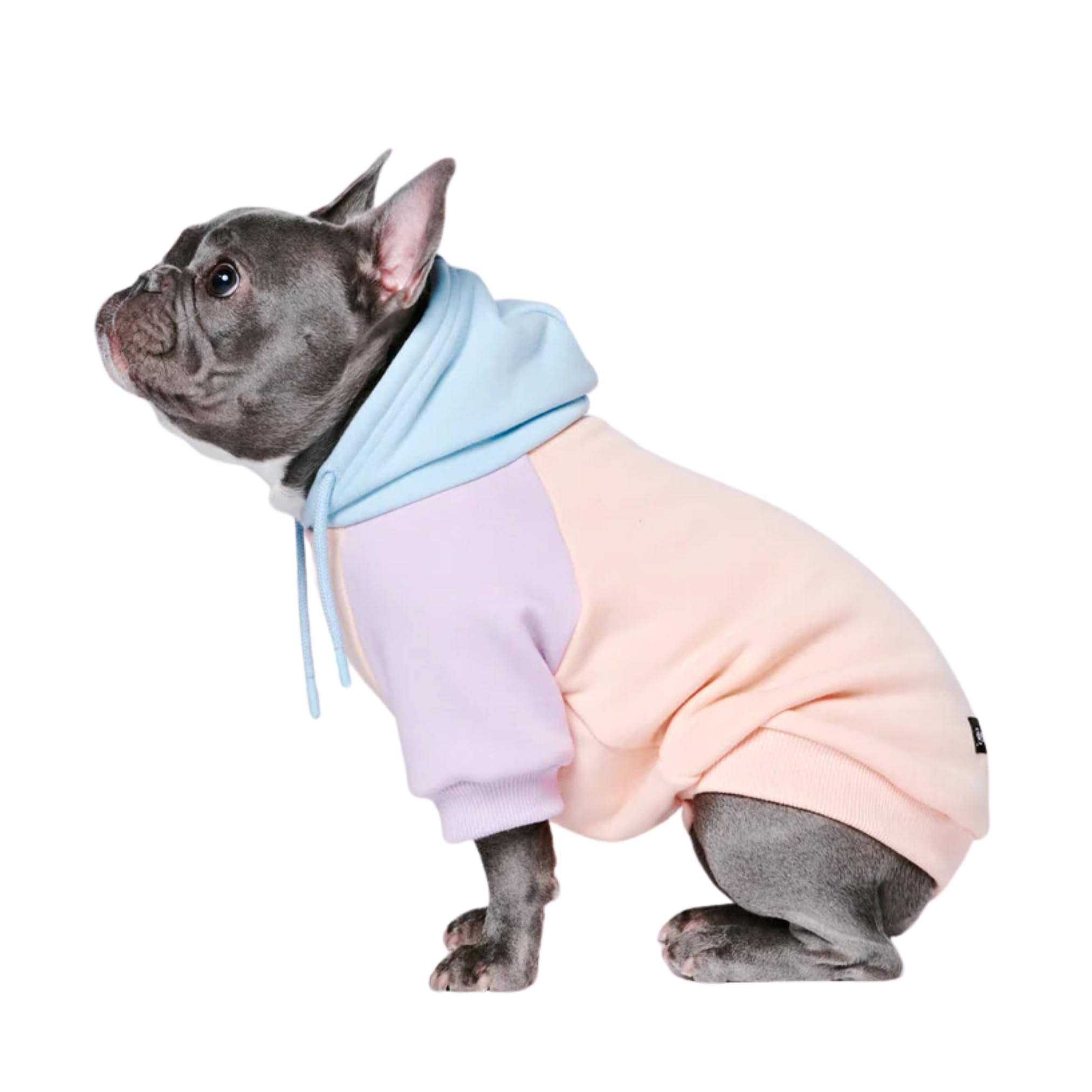 Spark Paws Dog Hoodie - Premium Quality, Buttery Soft, Superior Comfort And Fit, Calming Fleece Interior, Suitable For All Breeds - Cotton Candy - L