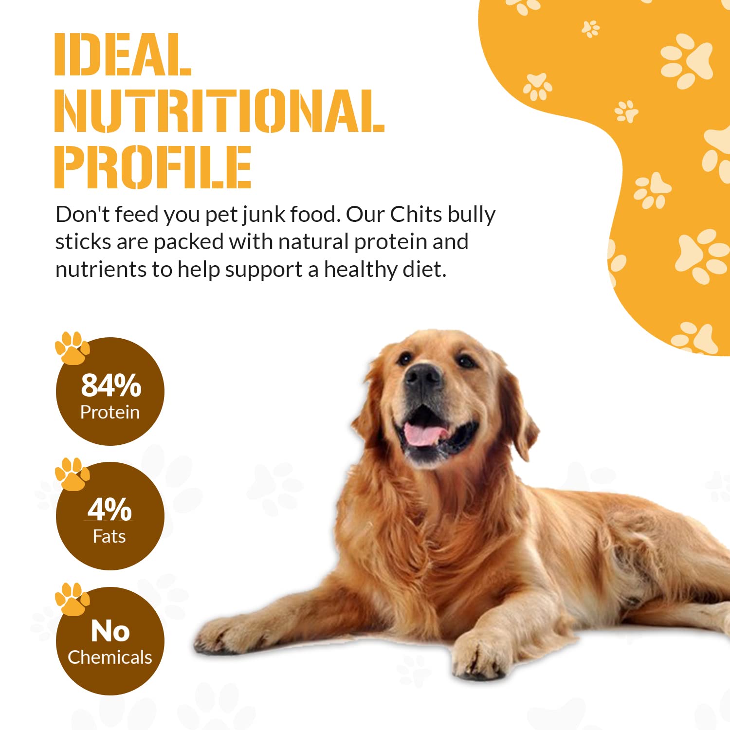 Dog Chits Bully Sticks for Dogs and Puppies | 6-inch, 20 Pack | Natural Healthy Long Lasting Chew for Large and Small Dogs Prote