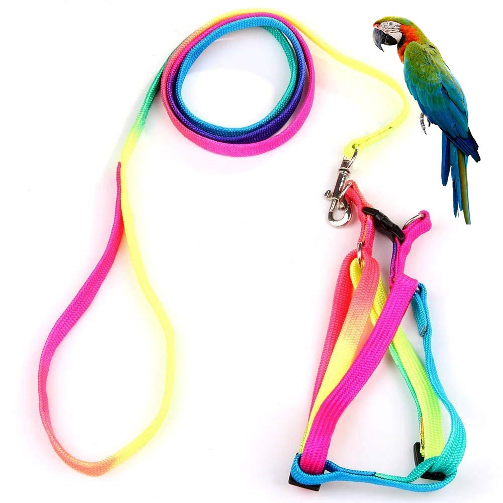 Hypeety Pet Bird Harness And Leash With Buckle Adorable Rainbow Design Safe Parrot Leash Pet Harness Outdoor Adjustable Anti Bite Training Rope For Macaw Large Size Bird (1.5Cm × 47.24In)