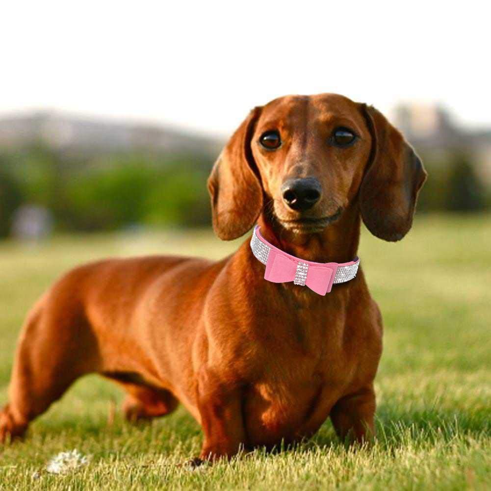 Haoyueer Small Dog Collars For Female Dogs, Cute Bling Rhinestone Crystal With Bow Tie Glitter Diamond Bowtie Puppy Collars For