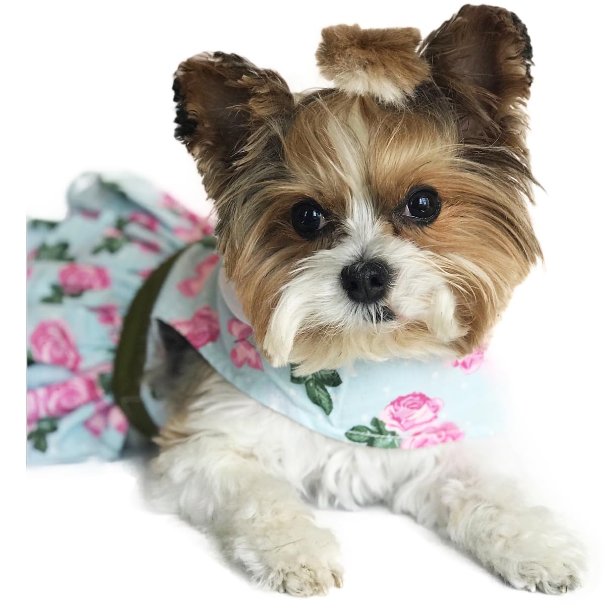 Doggie Design Pink Rose Dog Harness Dress With Matching Leash (Large)