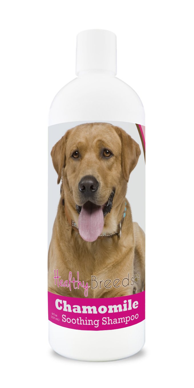 Healthy Breeds Labrador Retriever Chamomile Soothing Dog Shampoo 8 oz