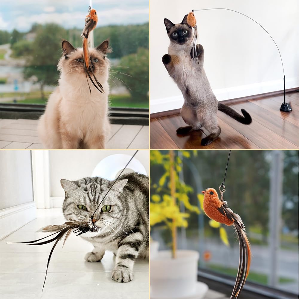 Leo's Paw Interactive Bird Simulation Cat Toy Set - 5 Realistic Colorful Birds with Bells & Suction Base for Engaging Play
