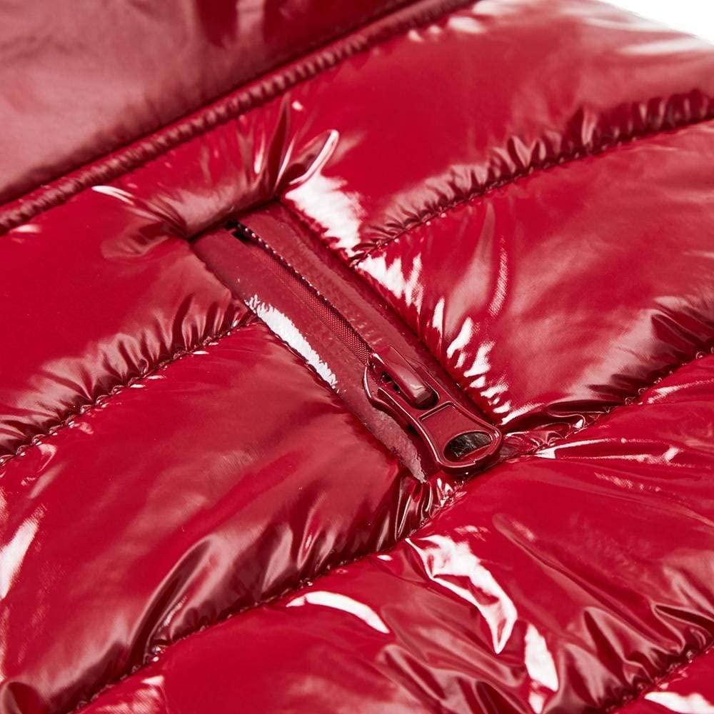 Blueberry Pet Cozy & Comfy Windproof Lightweight Quilted Fall Winter Glossy Dog Puffer Jacket In Deep Rouge, Back Length 18.5', Size 18, Warm Coat For Large Dogs