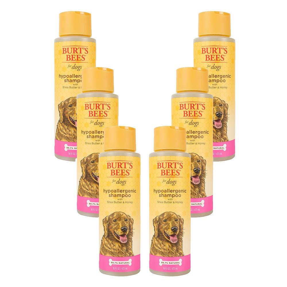 Burt'S Bees For Pets Hypoallergenic Dog Shampoo With Shea Butter & Honey  Dog Shampoo For Sensitive Skin  Cruelty Free, Sulfate 