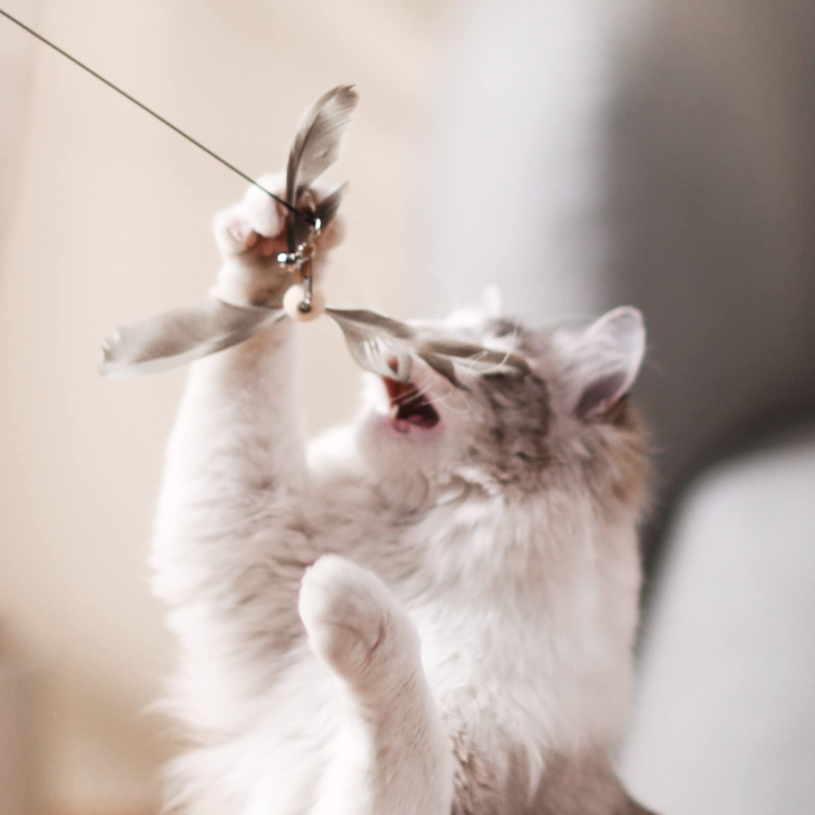 Fukumaru Cat Wand Toy, 35.5 Inch Cat Feather Propeller Toy With Bell, Steel Wire Cat Toy For Indoor Cats With Natural Feather