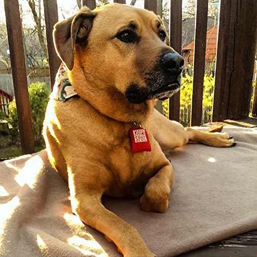 Quiet Spot Pet Tag Silencer (Red)