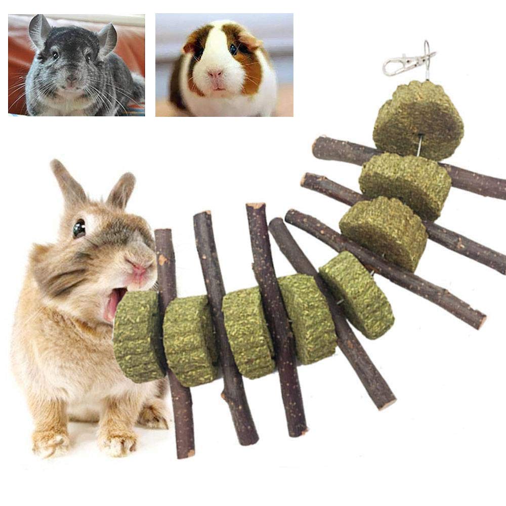 Pesandy Bunny Chew Toys For Teeth, Organic Apple Wood Molar Sticks With Timothy Hay Circles For Bunny Chinchilla Guinea Pig Hamsters Holland Lop Prairie Dogs Squirrels Gerbils, Improves Dental Health