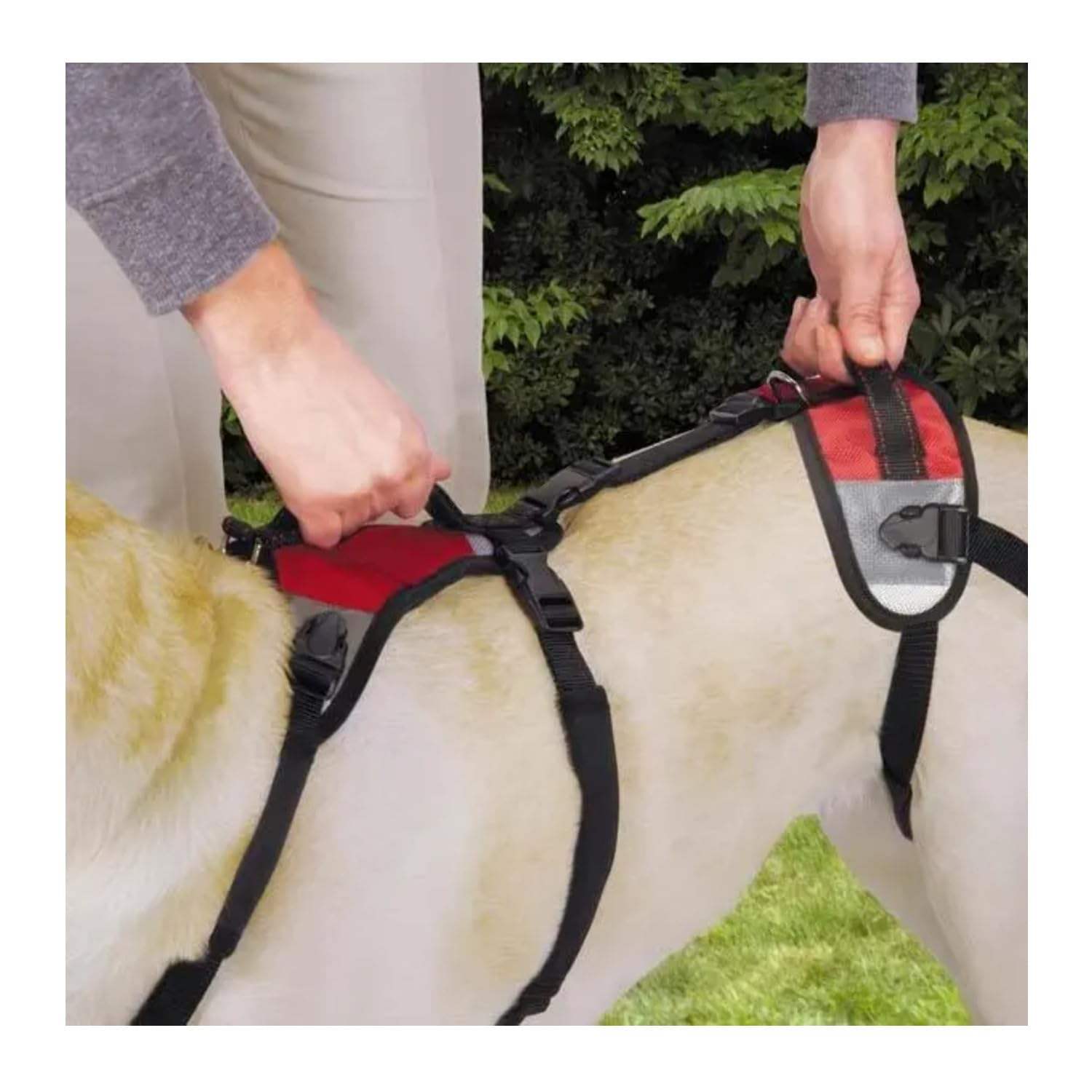 Total Pet Health Lift And Go Dog Lead, Large, Red