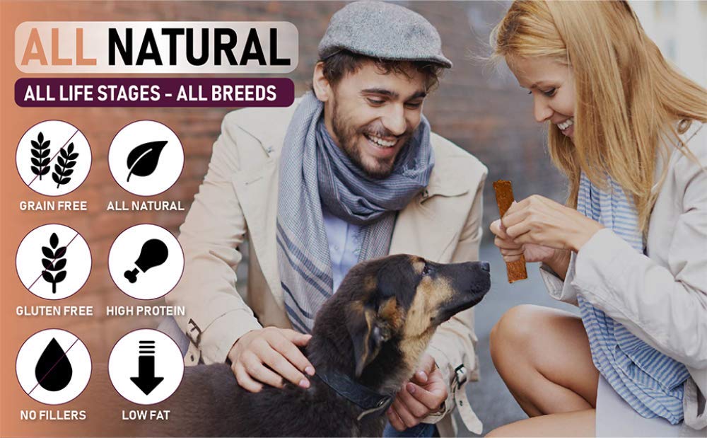 Pet Jerky Factory Premium Chicken and Sweet Potato 12 oz. Dog Jerky Treats | 100% Human Grade | USA Made | High Protein | Grain