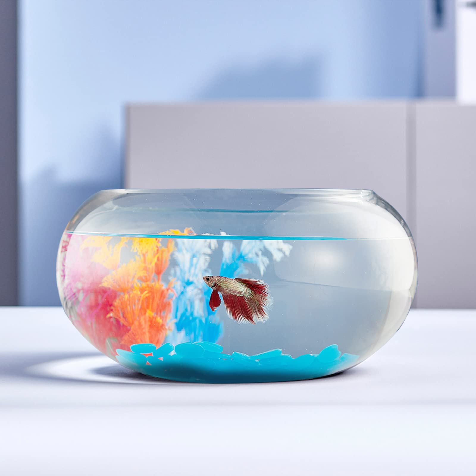 2 Gallon Glass Fish Bowl With Decor, Include Fluorescent Stones & Colorful Plastic Trees, High White Glass For Clear View, Small