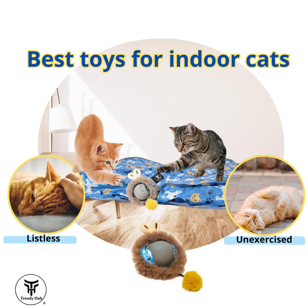 Trendy Hub 2025 Upgrade Interactive Cat Toys, Fast Rolling Led Ball With Pouch, Automatic Motion Activated Ball; Hide And Seek G