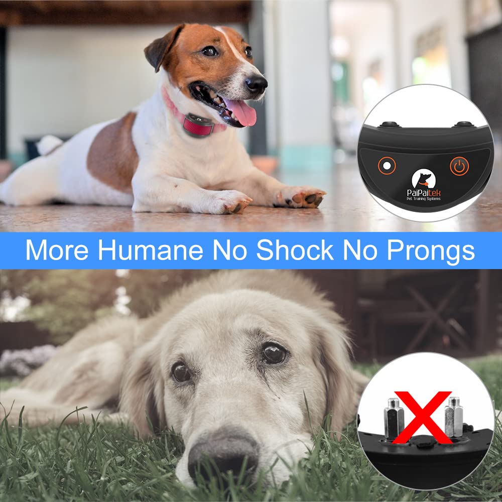 Paipaitek No Shock Dog Training Collar With Remote, Lightest Vibration Collar For Small Dogs 5-15Lbs & Medium Large Dogs, Rechar