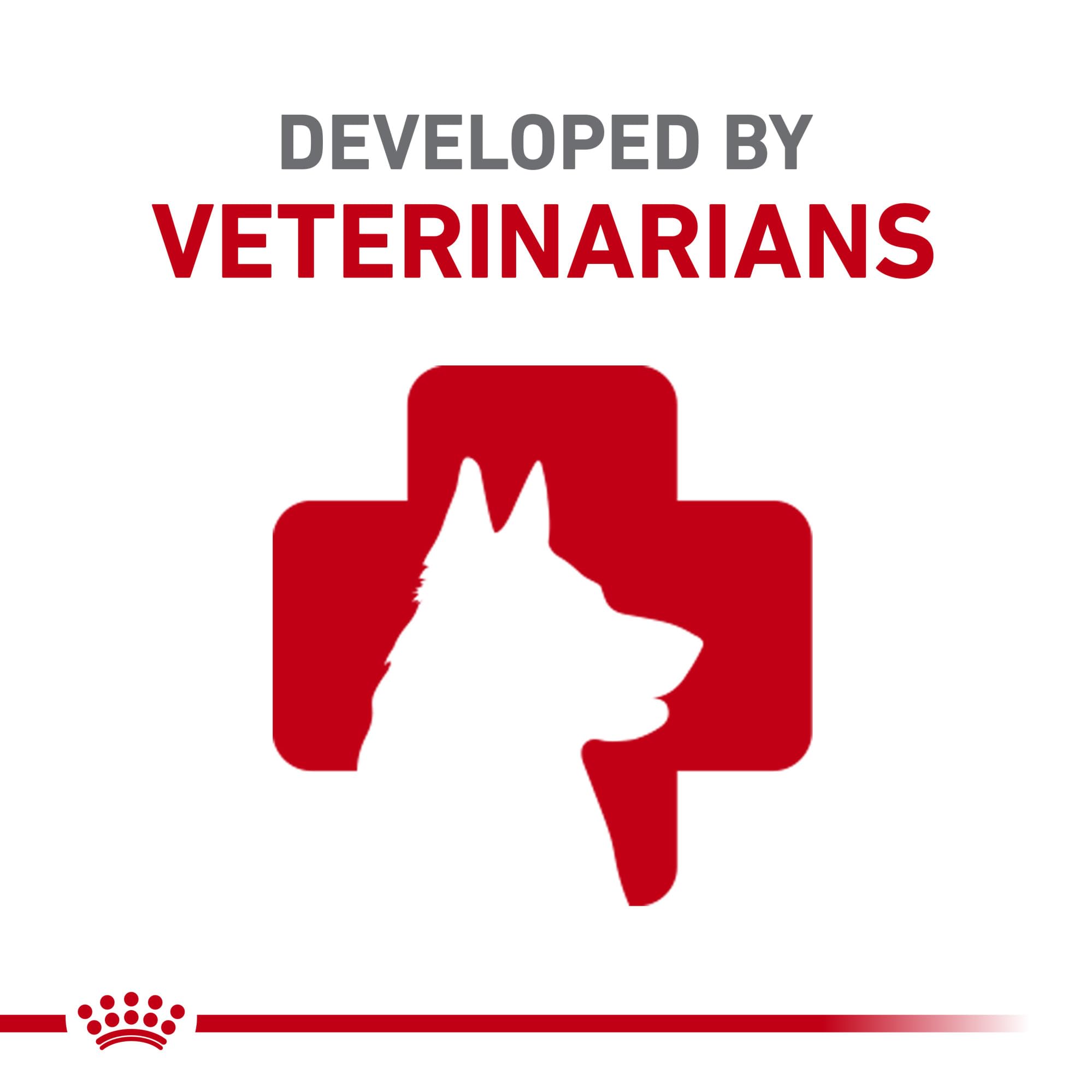 Royal Canin Breed Health Nutrition Labrador Retriever Puppy Dry Dog Food, 30 lb.