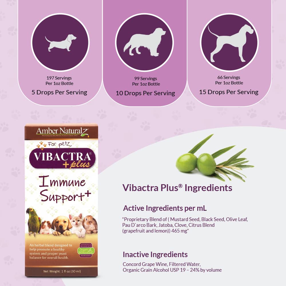 Amber NaturalZ Vibactra Plus Herbal Supplement for Dogs, Cats, Birds, Guinea Pigs, and Rabbits | Herbs for Immune Health and Yea