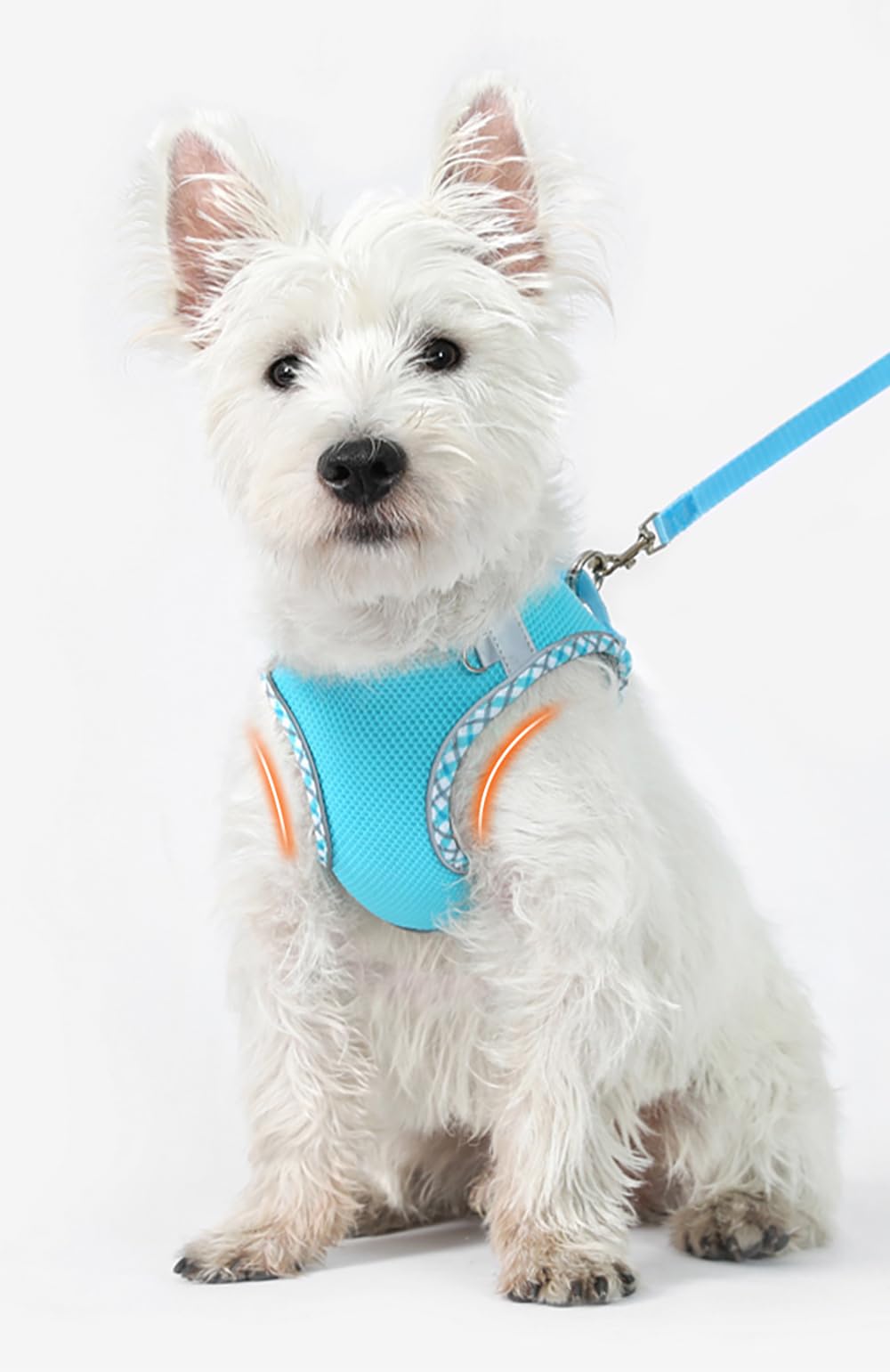 Dog Harness and Leash Set, No Pull Adjustable Reflective Pet Harness, Mesh Dog Harness, Step in Vest Harness Easy Walk Dog Harne