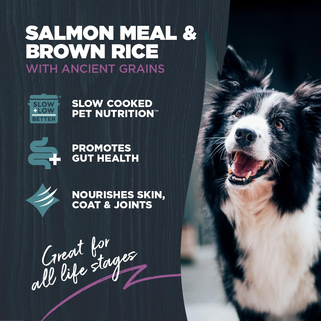 Blackwood Sensitive Skin & Stomach Dry Dog Food, Salmon Meal & Brown Rice with Ancient Grains, 4.5 Pound Bag with Prebiotics & P