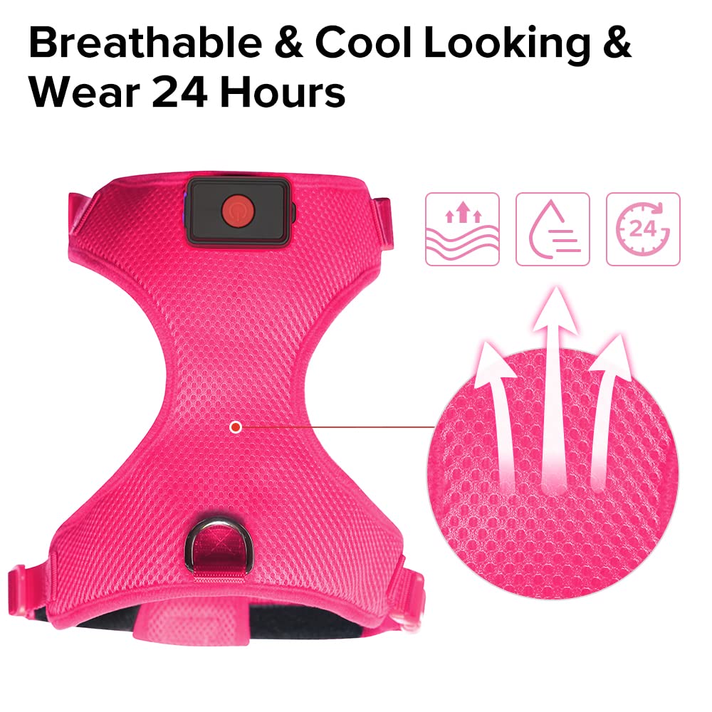 DOMIGLOW Light Up Dog Harness, No-Pull LED Dog Harness Light, Rechargeable Glowing Pet Harness for Night Walking & Camping (Hotp